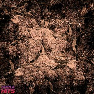 Zig-Zag (feat. Kamson & Domen) (Explicit)