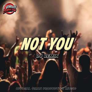 DJ NOT YOU (Remix)