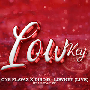 Lowkey (feat. Dibo D) (Live)