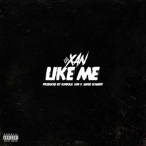 Like Me (Explicit)