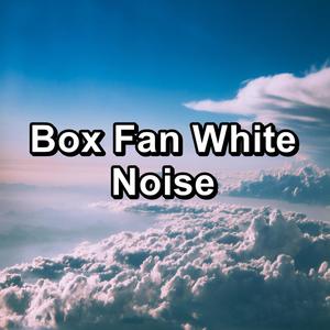 Box Fan White Noise