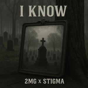 I Know (feat. Stigma) (Explicit)
