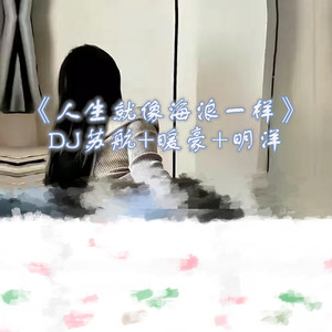 Dj苏航 - 对不起我又把你当成是她了