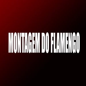 MONTAGEM DO FLAMENGO