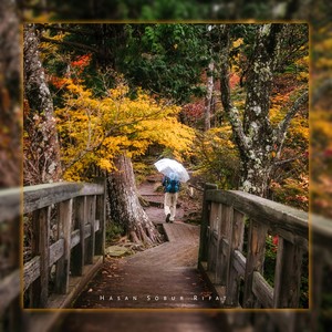 Sohena Jatona Tumaro Ashay Boshiya