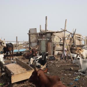 100% cooked (Explicit)