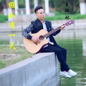 假如有一天 (伴奏)