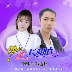 梦中长相依 (抒情对唱版)