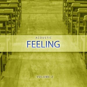 Acoustic Feeling, Vol. 2