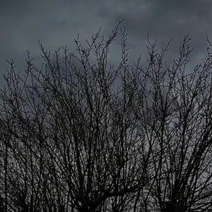 Why Would You (Explicit)