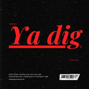 Ya Digg (feat. Blxck 187) [Explicit]