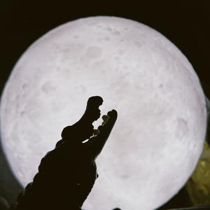 VOMIT ON MY T SHIRT (Explicit)