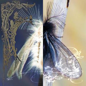 სამოთხე