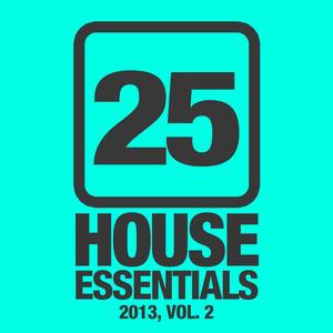 25 House Essentials 2013, Vol. 2