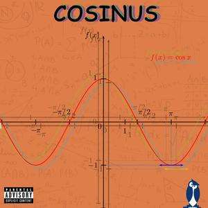 COSINUS