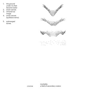 A Field of Secondary Craters