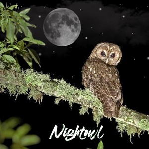 Nightowl