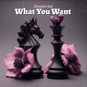 What You Want (Explicit)