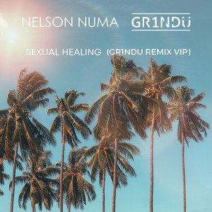 ****** Healing (GR1NDU Remix VIP)