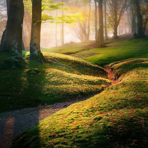 Floating Without A Care