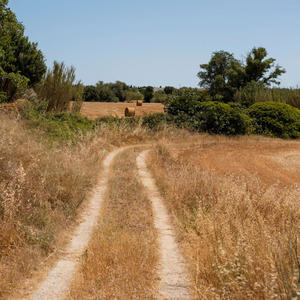 Backroad Ramblers