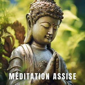 Méditation assise (Approfondir la sérénité et l'éveil spirituel par la pratique silencieuse)