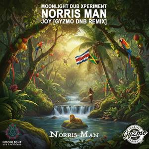 Joy (Gyzmo DNB Remix)