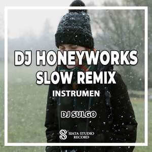 DJ Honeyworks Slow Remix (Ins)