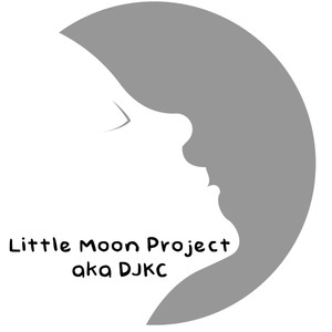 Little Moon Project - China Tech