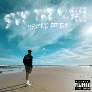 Stay The Night (feat. Redboy) [Explicit]