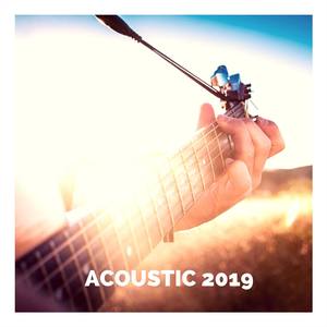 Acoustic 2019