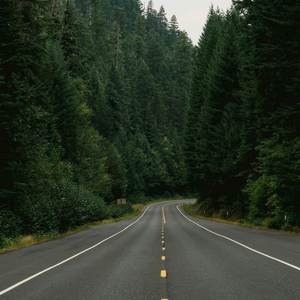 A Good Hoe to Talk To (Explicit)