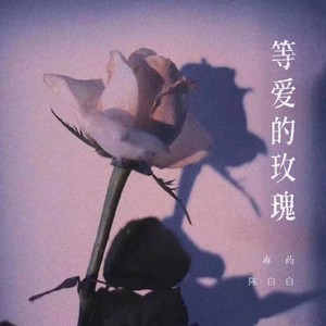 等爱的玫瑰封面