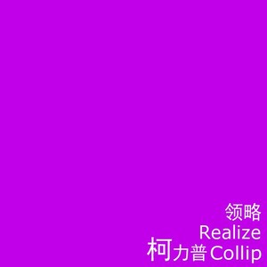 领略