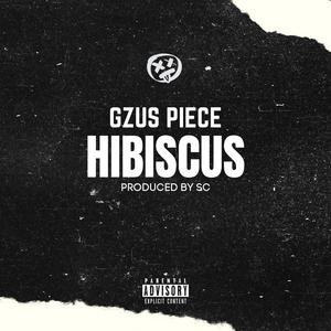Hibiscus (Explicit)