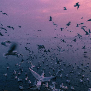 PURGATORIUM (feat. BERITH) (Explicit)