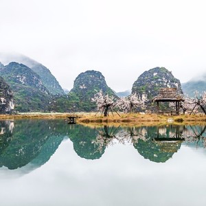 桃花坞里访桃仙Peach Blossom Fortress·国风酷炫车载健身音乐