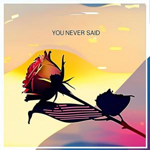 You Never Said