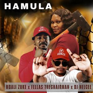 Hamula (feat. Fellas the chairman & DJ Nelcee)