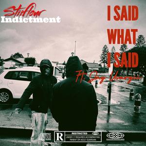 I Said What I Said (feat. Jay Usargii) [Explicit]