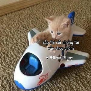 xin lỗi đề (feat. A1k28)