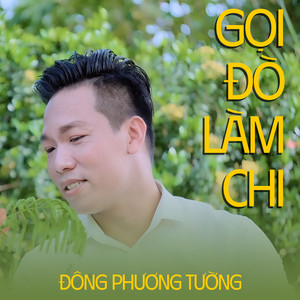 Gọi Đò Làm Chi