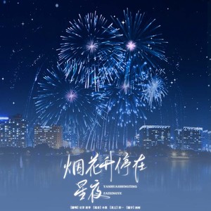 烟花升停在星夜