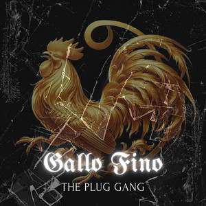 GALLO FINO (Explicit)