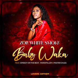 Baby Waka (feat. SmeezyOn The Beat, ParisMiller & Master Chuza)