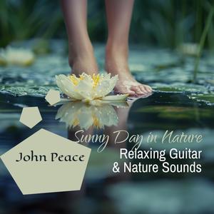 Sunny Day in Nature: Relaxing Guitar Music with Nature Sounds, Enter The Sanctuary of Serenity