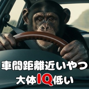 車間距離とIQの低さは比例する