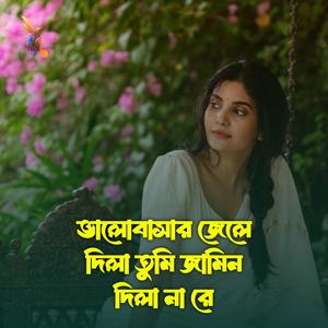 ভালোবাসার জেলে দিলা তুমি জামিন দিলা না রে