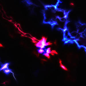 Violet (feat. okay coleman!) (Explicit)