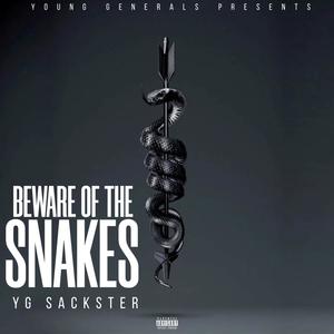 Beware Of The Snakes (Explicit)